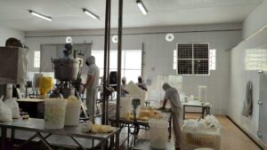 Climatização de Laticínios: Ar 100% Renovado, Economia e Qualidade na Produção